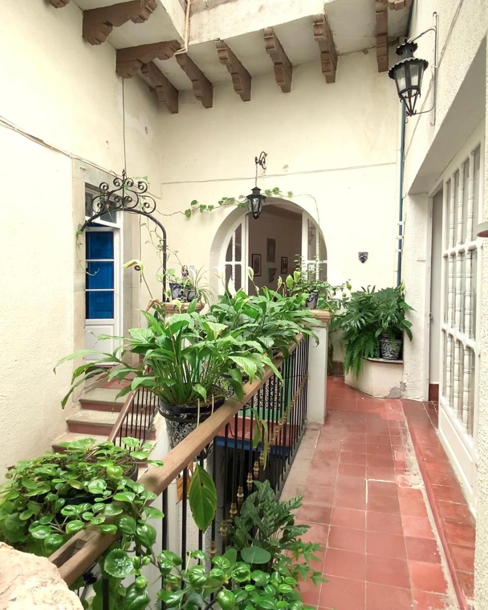 Alonso53 Guest house