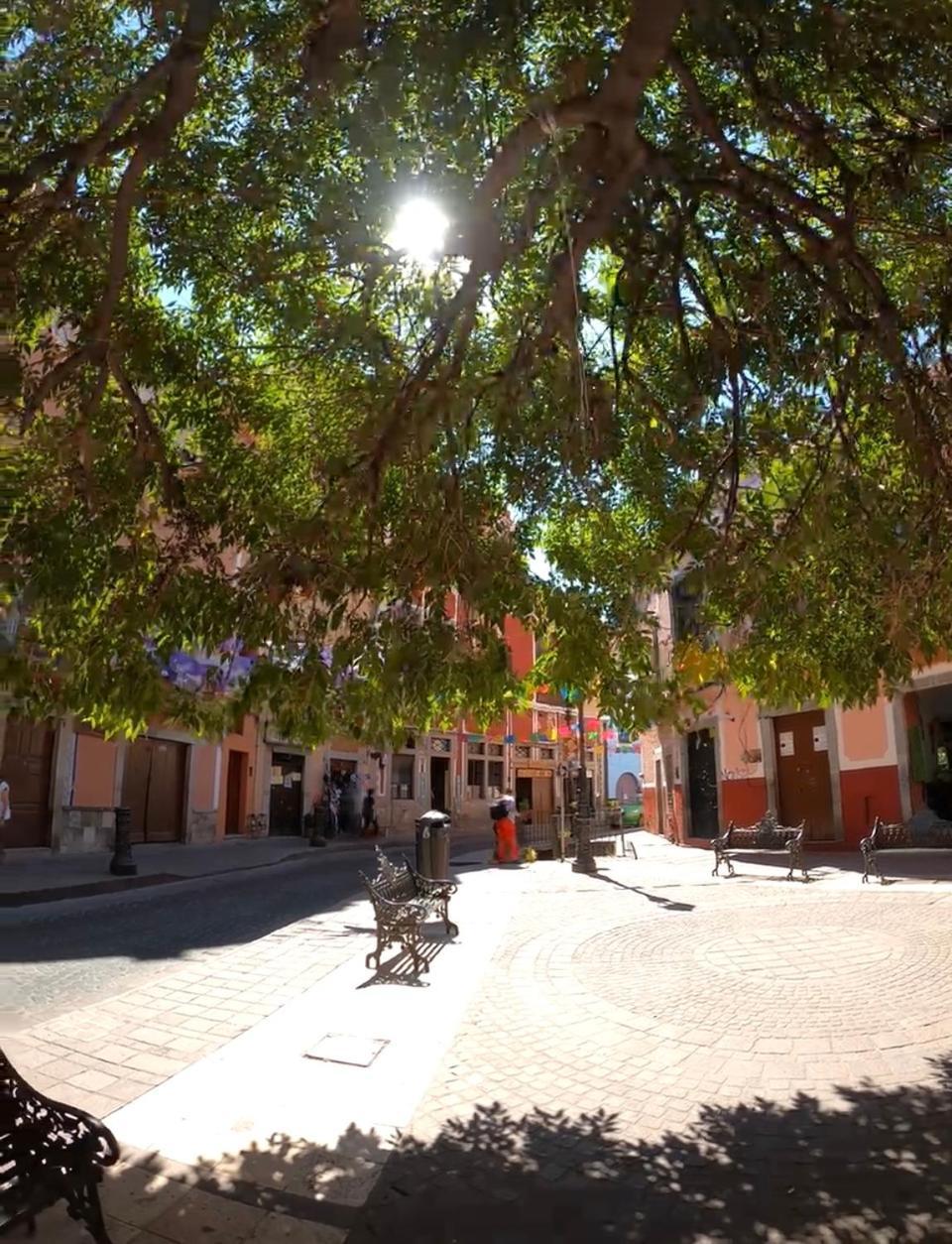 Alonso53 Guest house Guanajuato