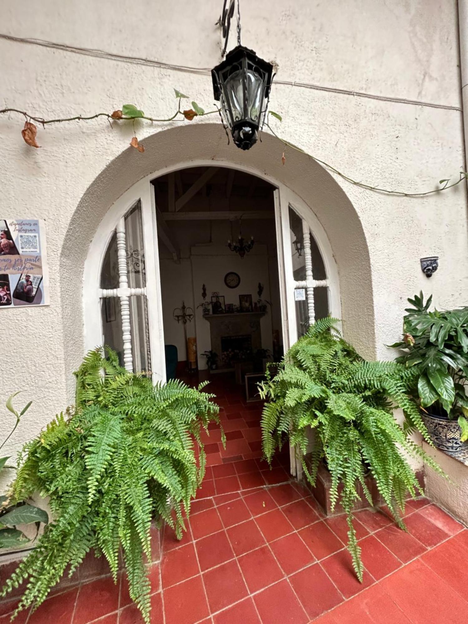 Guest house Alonso53 *